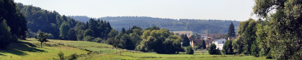 Heimatverein Heidenrod e.V.