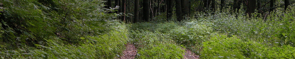 Heimatverein Heidenrod e.V.